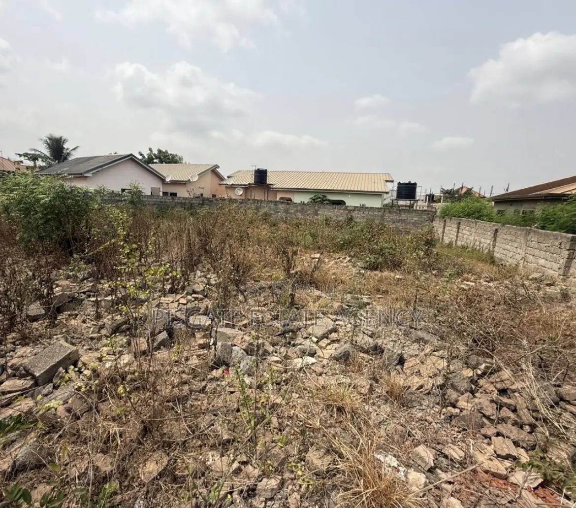 2plots at Tema Com 25