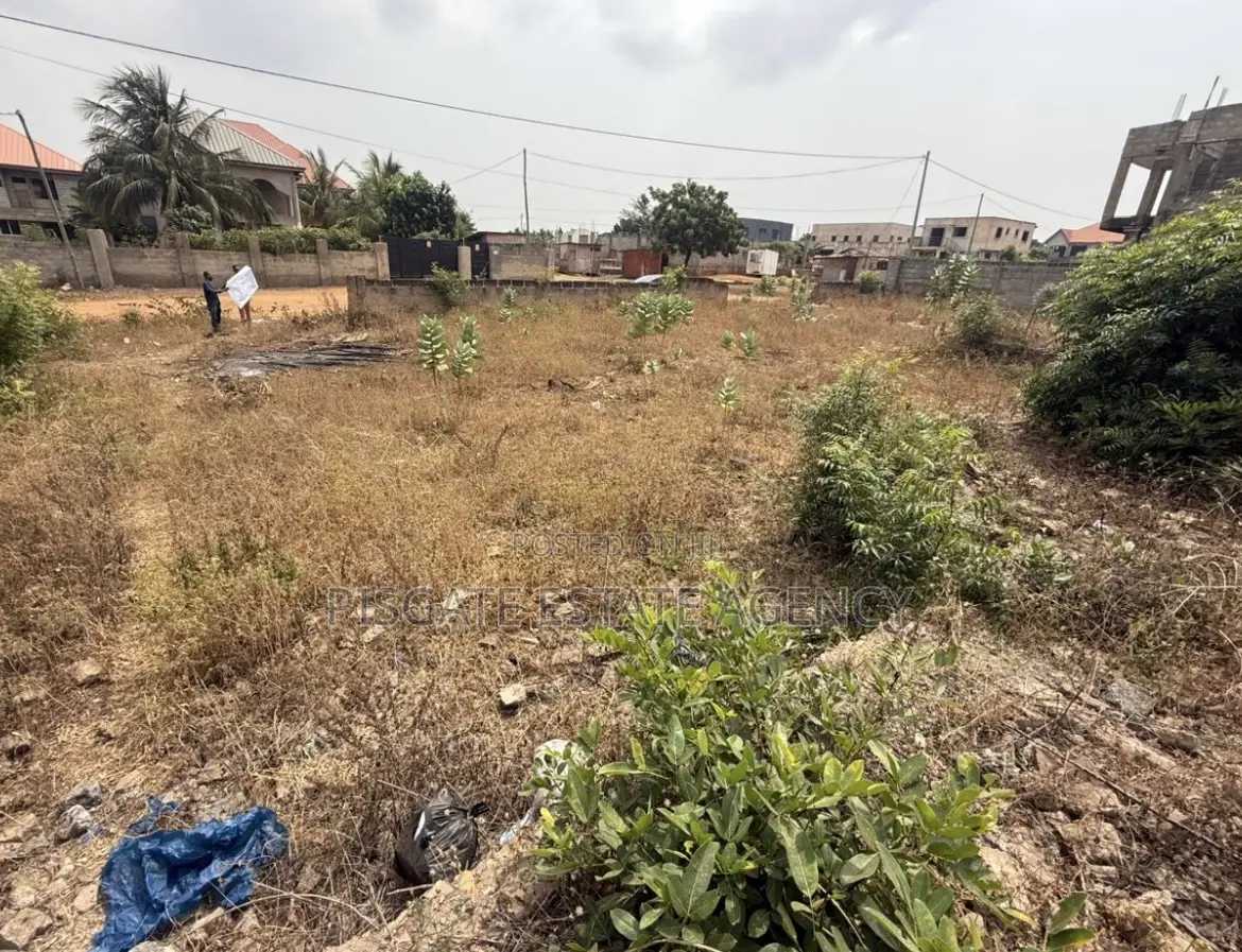 2plots at Tema Com 25