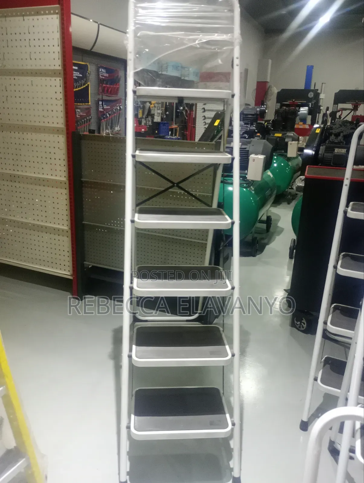 6 Steps House Hold Ladder