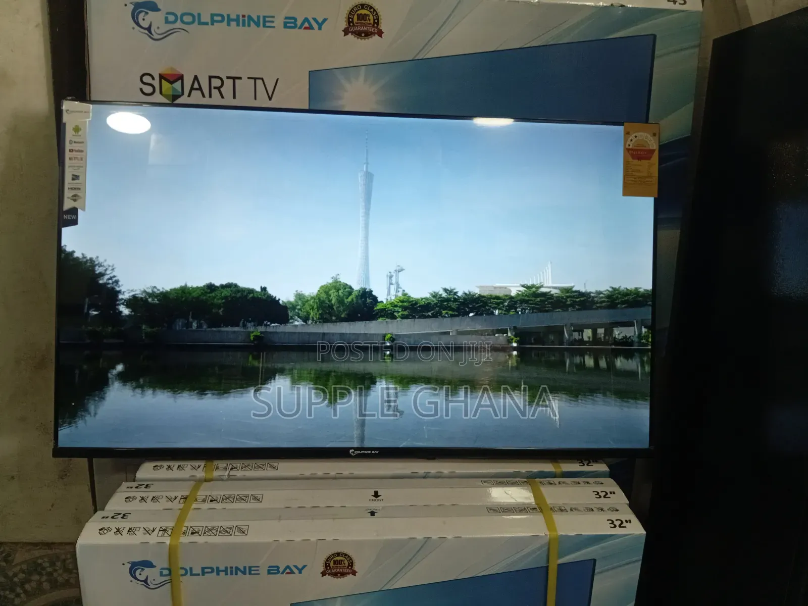 Neon Truths Dolphine Bay 43-Inch Smart Tv, Dolphine Bay Tv