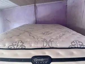 Beautyrest Black Hd(Double) 54/75 14inches