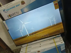 Echoes in Prime Time Dolphine Bay 43-Inch Smart Tv, Dolphine Bay