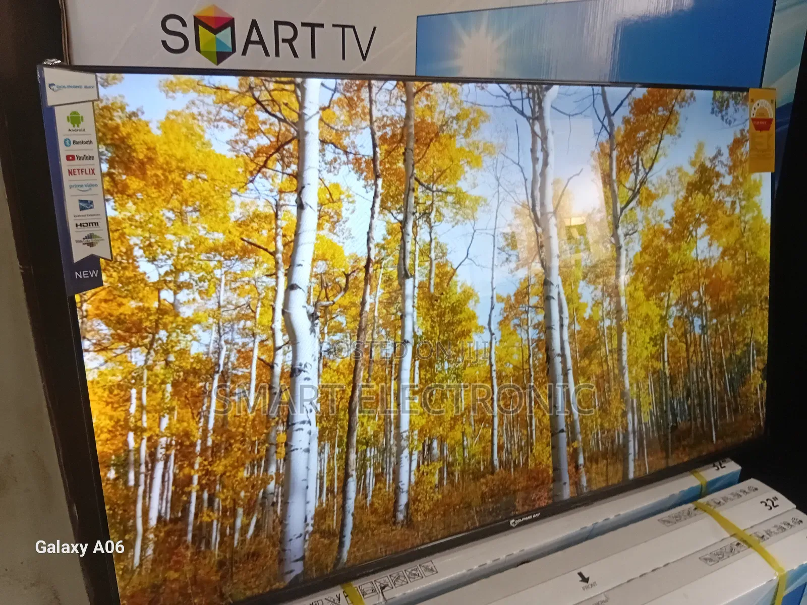 Dolphin Bay 43"Smart Led Tv – Crystal Clear Entertainment Dolphine Bay