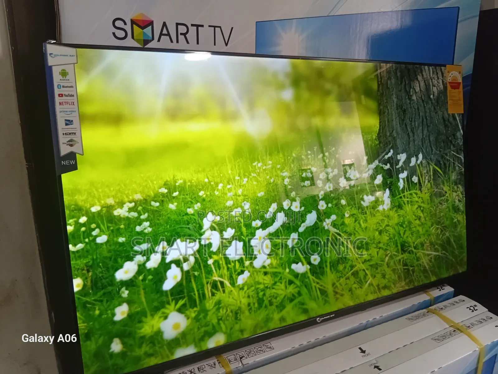 Dolphin Bay 43" Smart Television – Immersive Dolphine Bay