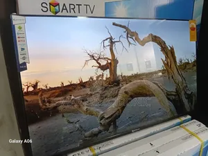 Dolphin Bay 43" Smart Led Television – Smart Viewing Dolphine Bay