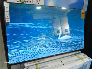 Dolphin Bay 43" Smart Led Tv – Your Window Dolphine Bay