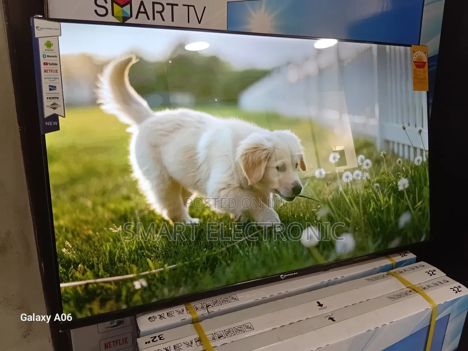 Dolphin Bay 43-Inch Smart Tv – Smart, Sleek, Dolphine Bay