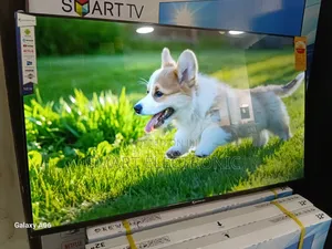 Dolphin Bay 43-Inch Smart Tv – Smart, Sleek, Dolphine Bay