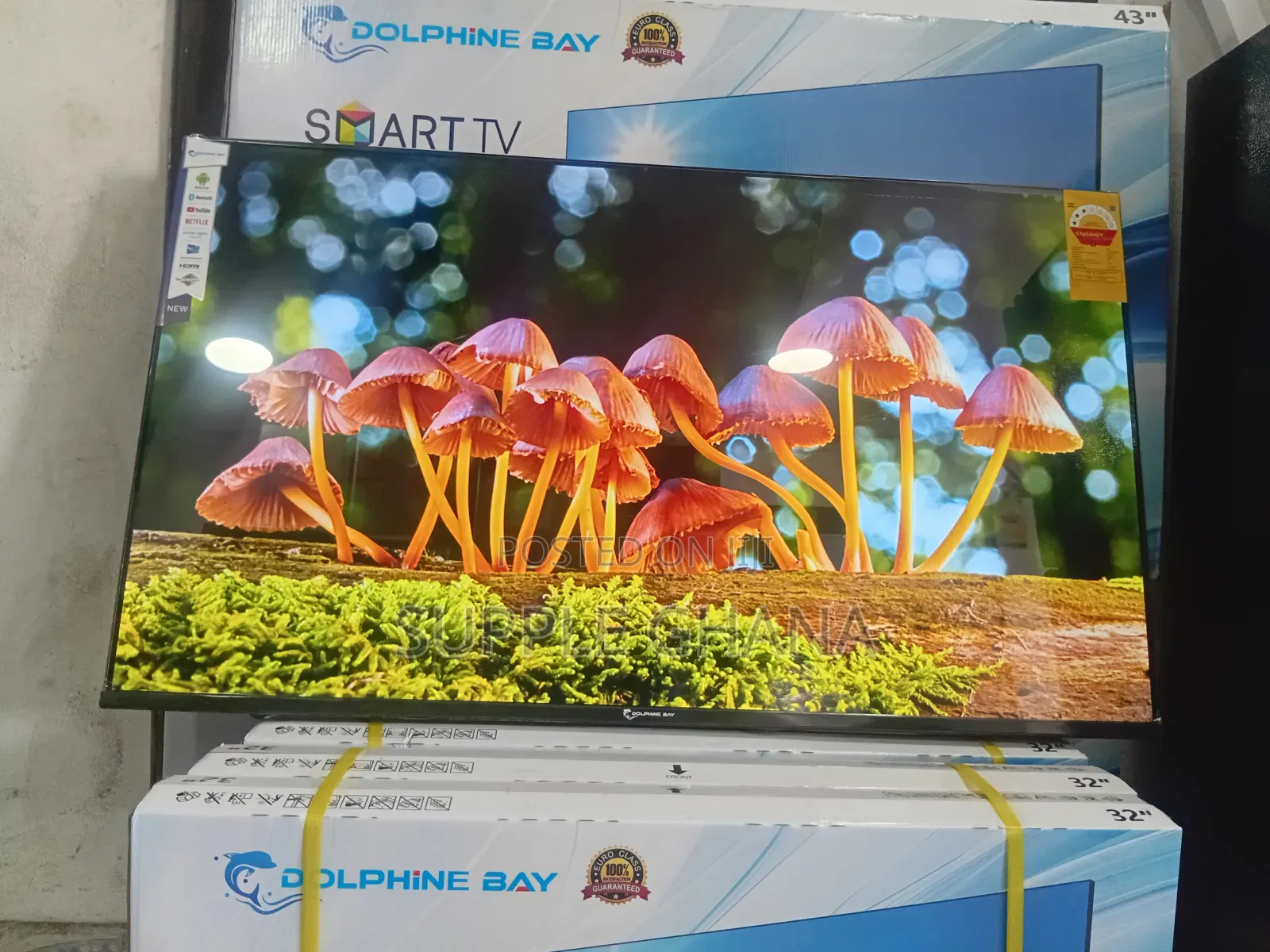 Dolphine Bay 43-Inch Smart Tv,Visionedge Dolphinebay 43-Inch Smart Tv