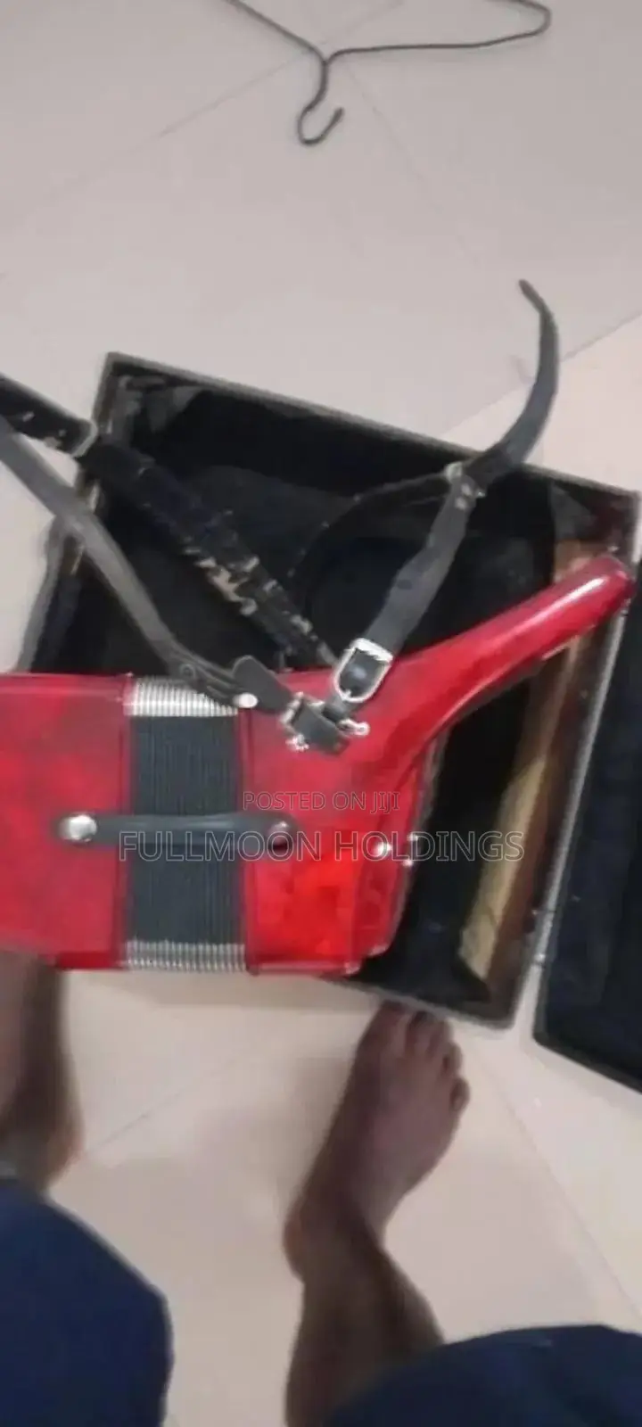 24 Bass Accordion