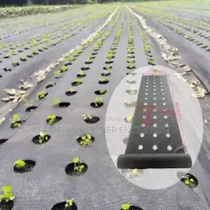 Woven Mulch Material With Holes