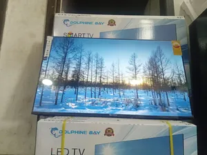 Trueframe Dolphine Bay 43-Inch Smart Tv, Dolphine Bay Smart Tv
