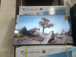 Skyline Dolphine Bay 43-Inch Smart Tv, Dolphine Bay Smart Tv