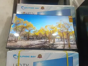 Dolphine Bay Smart Tv, Vividcore Dolphine Bay 43-Inch Smart Tv