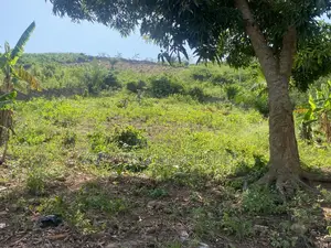 Prime Land for Development