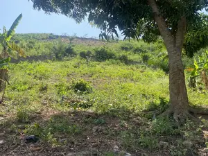 Prime Land for Development