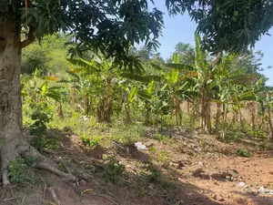 Prime Land for Development