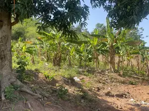 Prime Land for Development