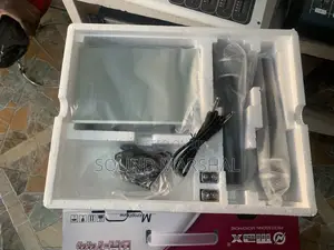 Max Dh744 2 in 1 Microphone