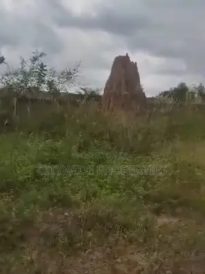 Affordable Development Land