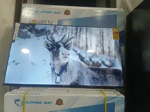 Spectraview Dolphine Bay 43-Inch Smart Tv, Dolphine Bay Smart Tv