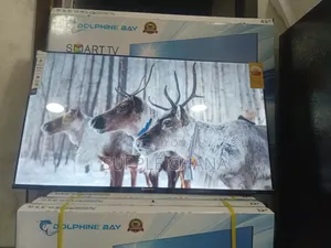 Spectraview Dolphine Bay 43-Inch Smart Tv, Dolphine Bay Smart Tv