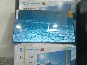Zenith Display Dolphine Bay 43-Inch Smart Tv, Dolphine Bay Smart Tv
