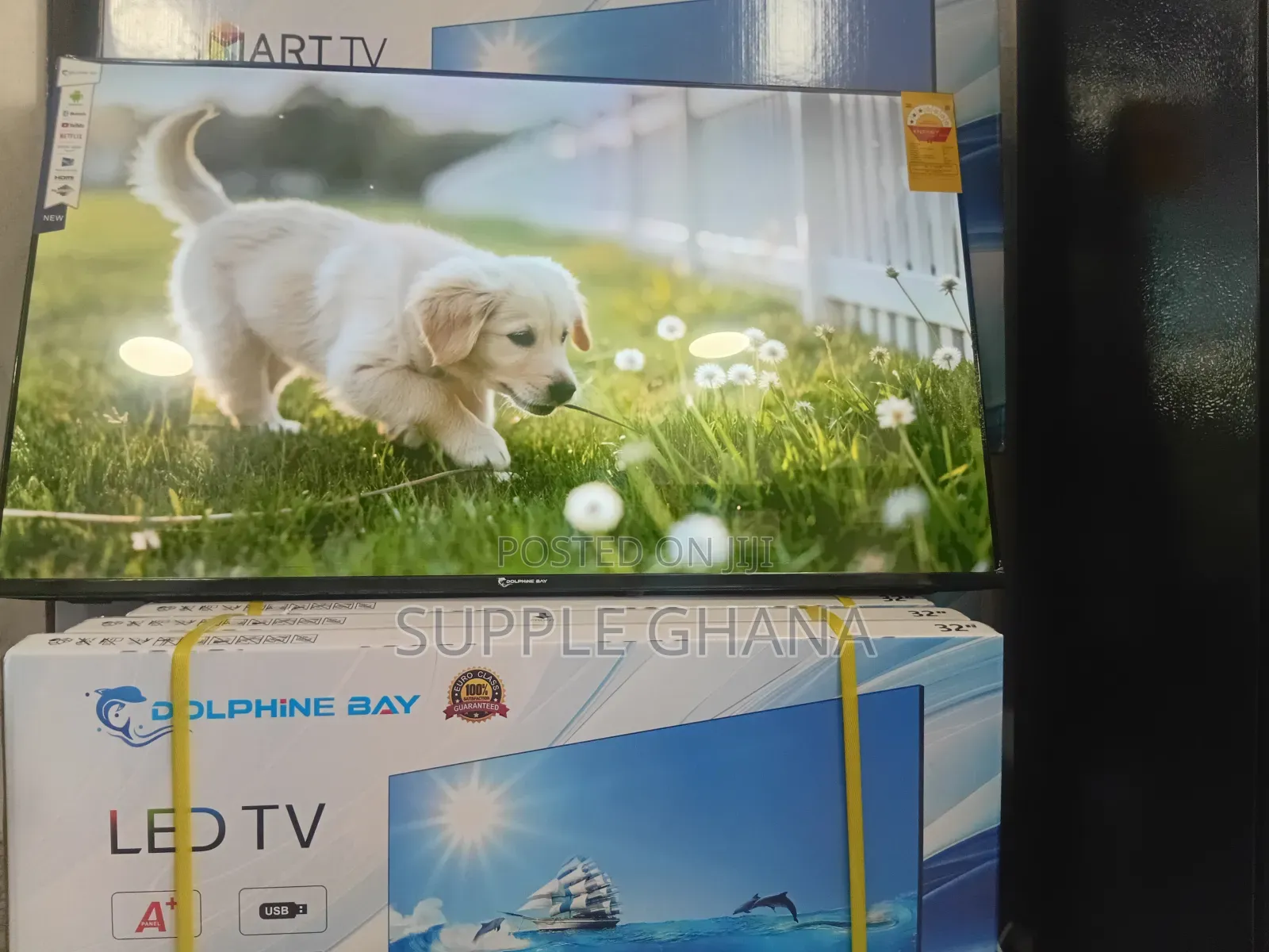 Dolphine Bay 43-Inch Smart Tv, Primepixel Dolphine Bay Smart Tv