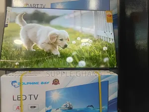 Dolphine Bay 43-Inch Smart Tv, Primepixel Dolphine Bay Smart Tv