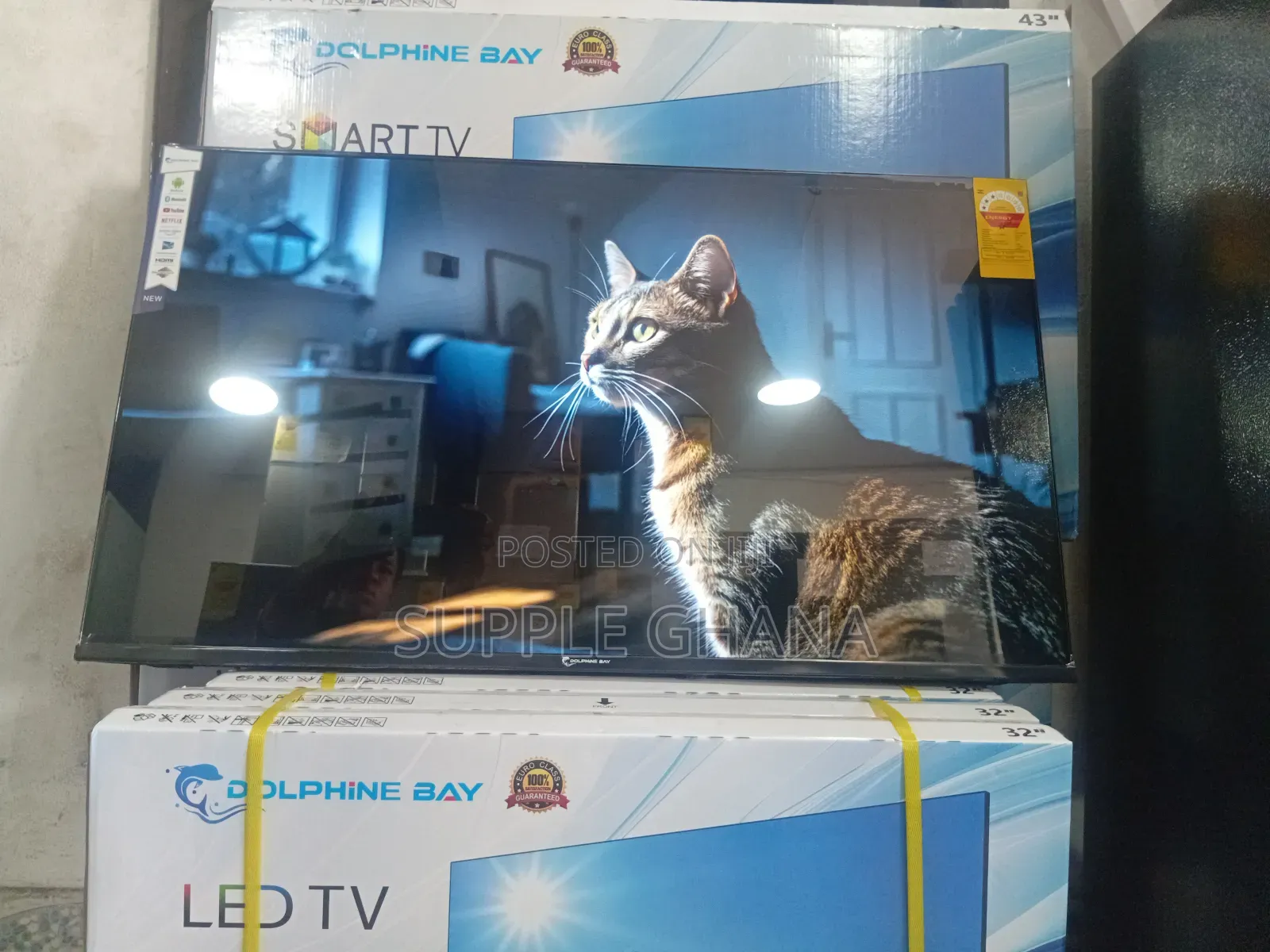Dolphine Bay 43-Inch Smart Tv, Echovision Dolphine Bay 43-Inch Smart