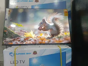 Radiantview Dolphine Bay 43-Inch Smart Tv, Dolphine Bay Smart Tv
