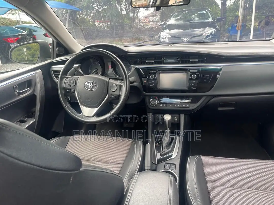 Car Rentals