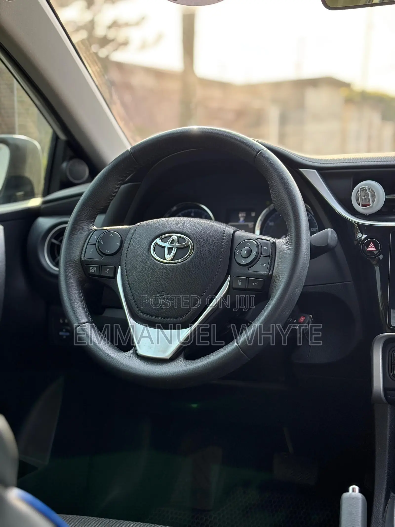 Car Rentals