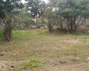 One Acre Plot Of Land For Sale