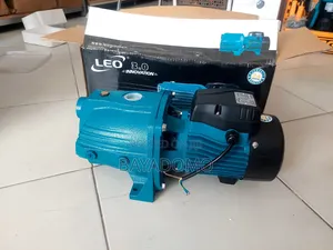 Leo Water Pump 1hp