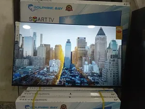 The Silent Channel Dolphine Bay 43-Inch Smart Tv Dolphine Bay