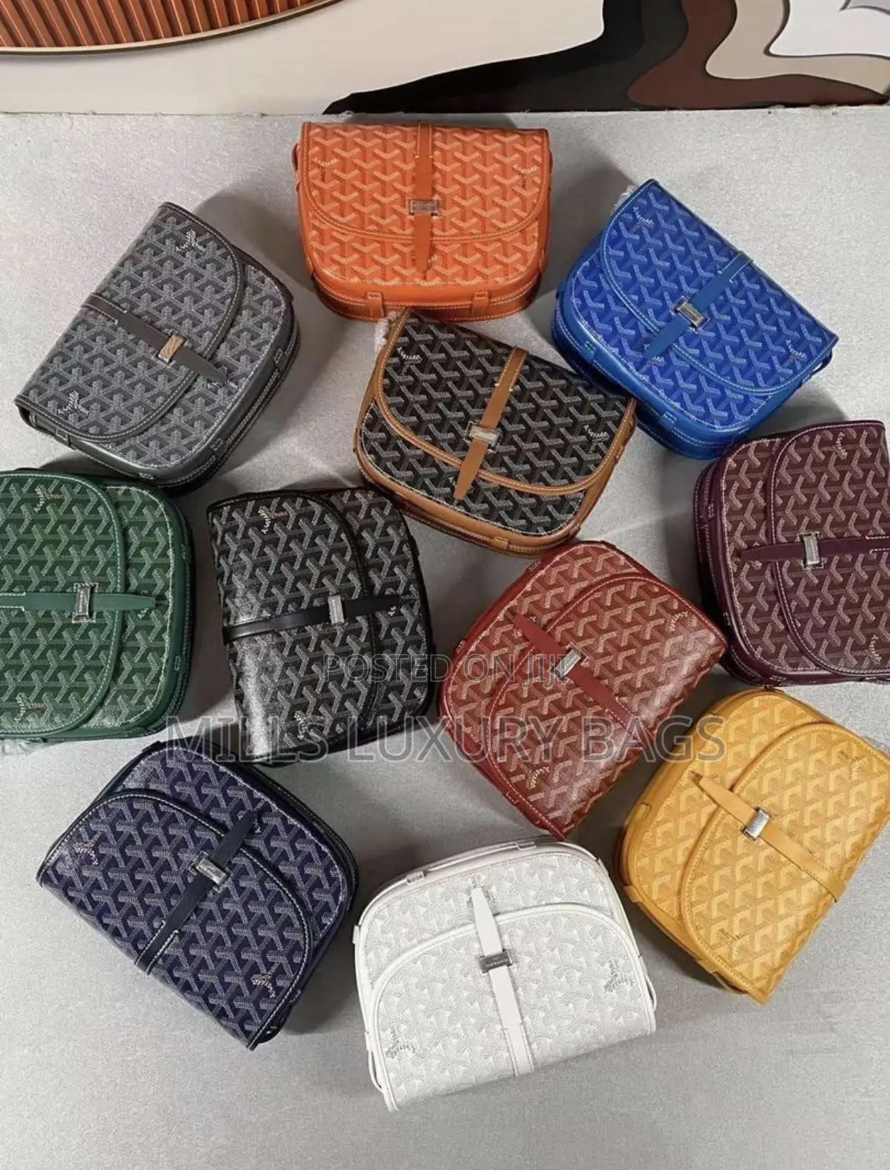 Goyard Side Bag