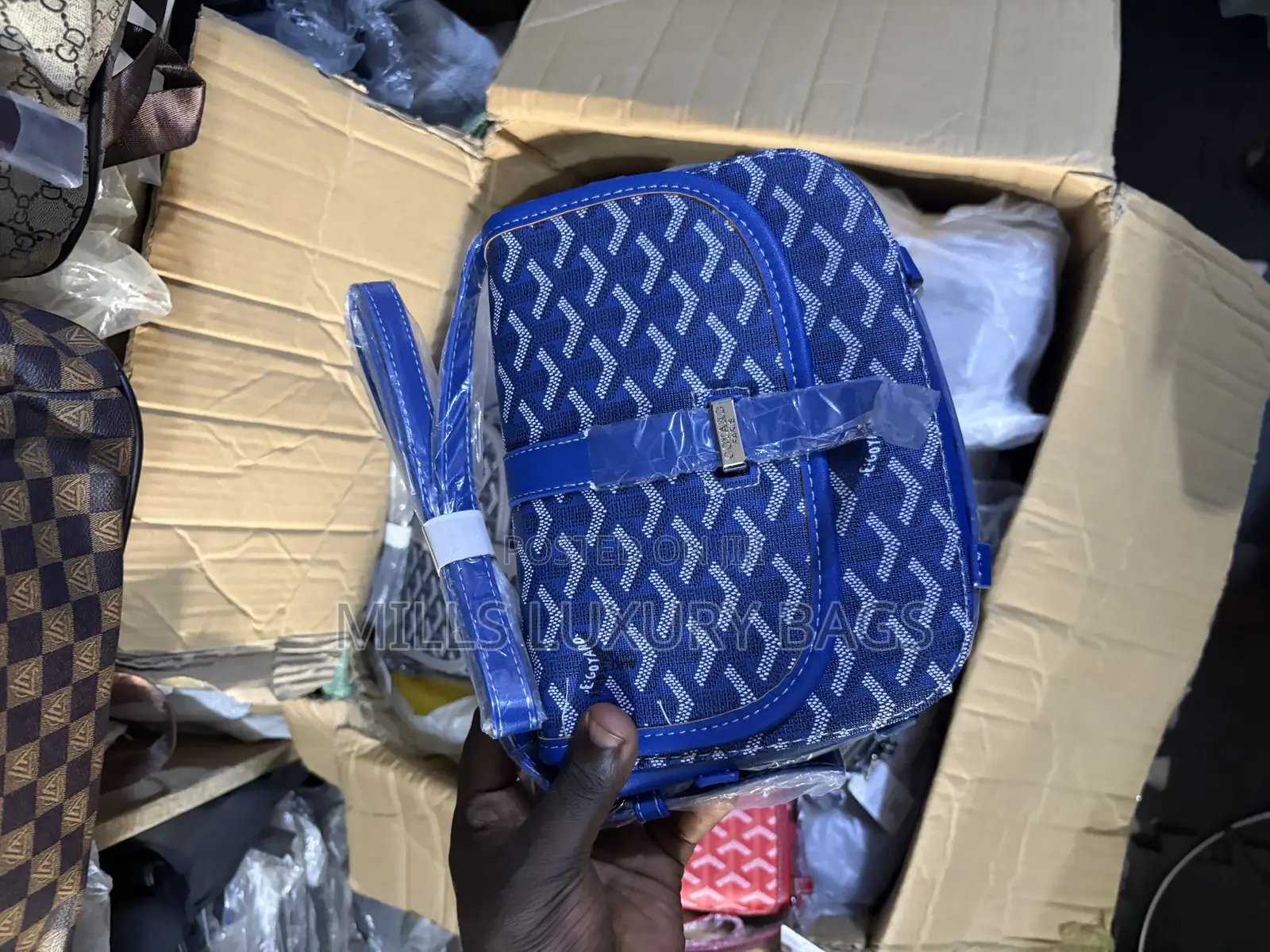 Goyard Side Bag