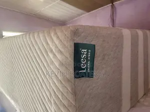 Leesa Hybrid Beds(Queen) 60/80