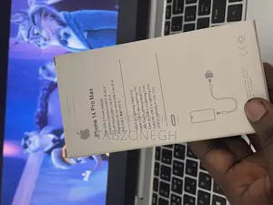 3 Pin iPhone Charger
