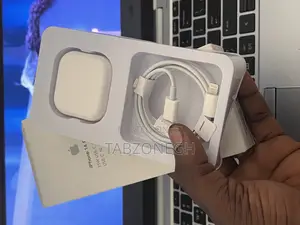 3 Pin iPhone Charger