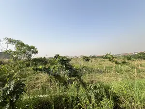 Prime Full Plot of Land for Sale Agric Nzema