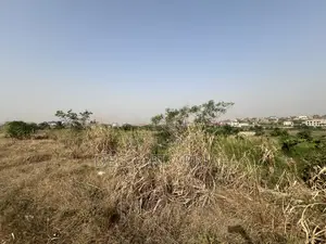 Prime Full Plot of Land for Sale Agric Nzema