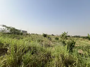 Prime Full Plot of Land for Sale Agric Nzema