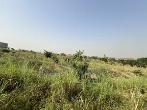 Prime Full Plot of Land for Sale Agric Nzema
