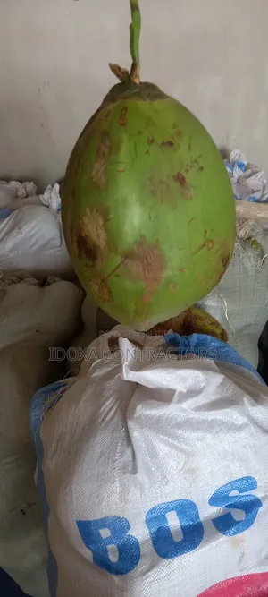 Fresh Coconut