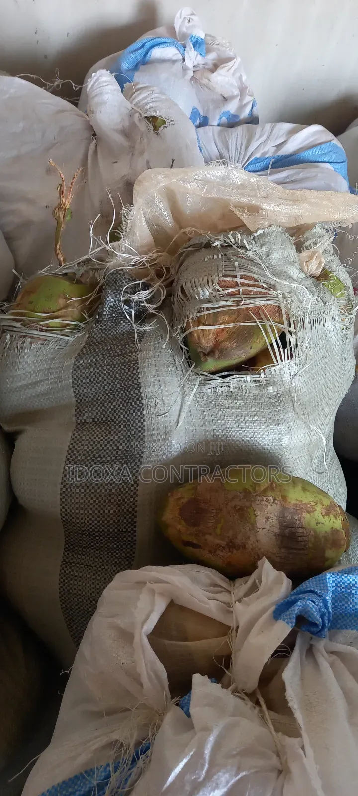 Fresh Coconut