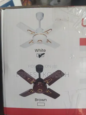 24"Short Blabe Ceiling Fan