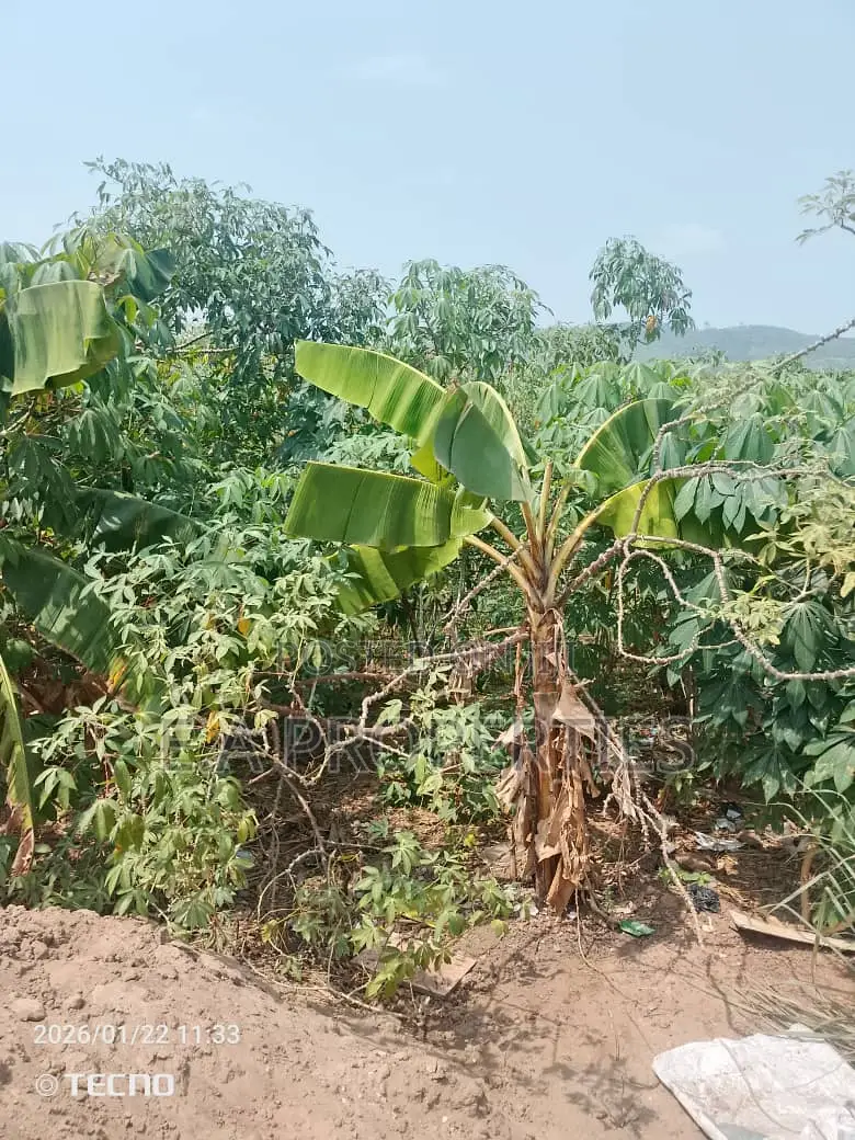 Land for Sale 6plots Oyibi