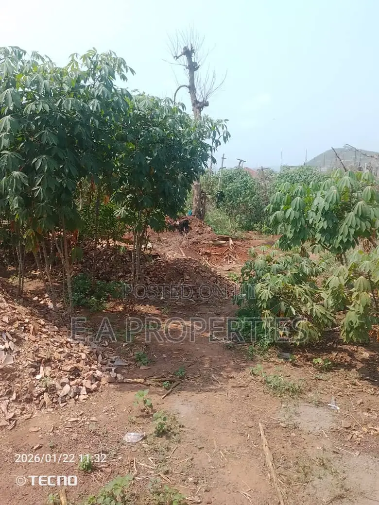 Land for Sale 6plots Oyibi